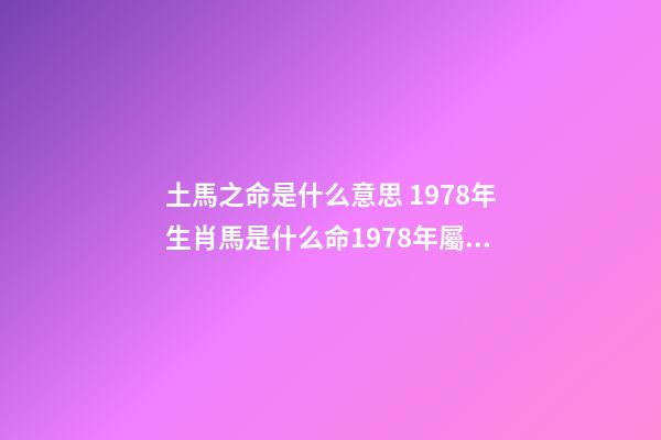 土馬之命是什么意思 1978年生肖馬是什么命1978年屬馬人的一生命運(yùn)-第1張-觀點(diǎn)-玄機(jī)派
